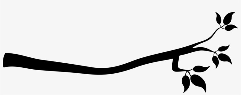 Branch line separator 2