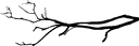 Branch line separator