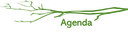 AGENDA.png