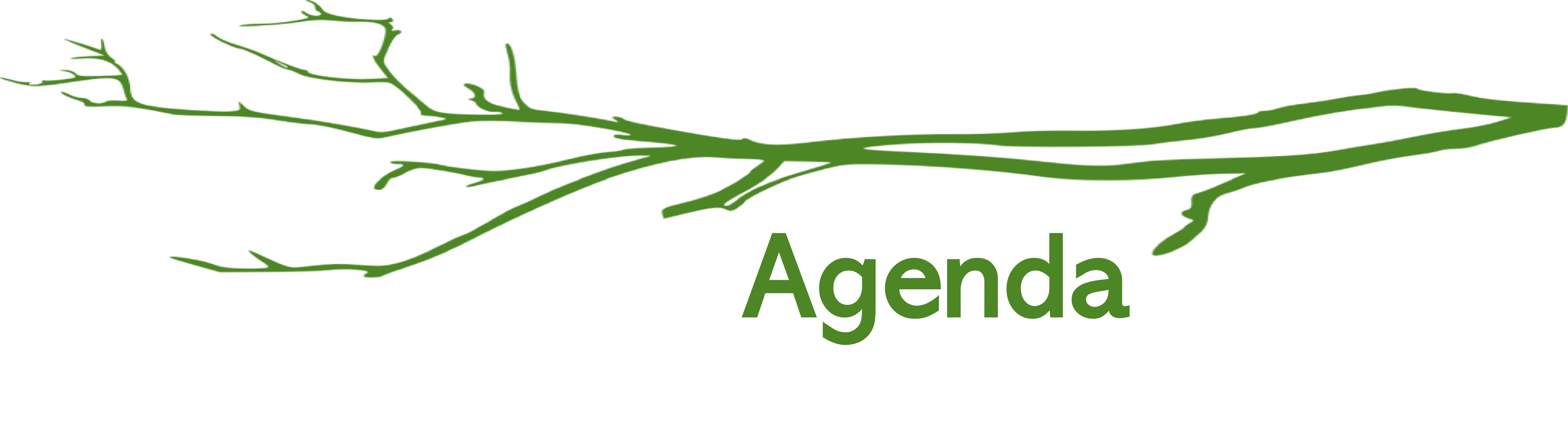 AGENDA.png