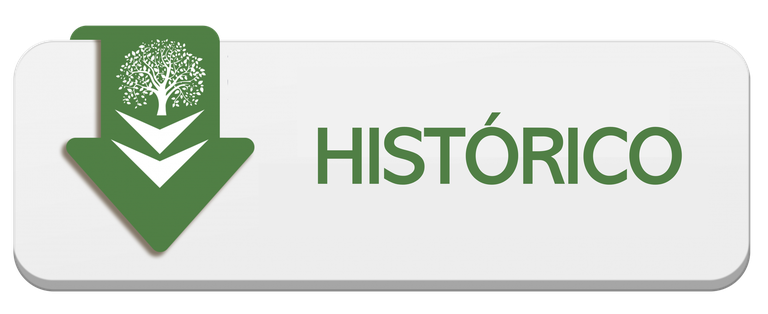 HISTÓRICO.png
