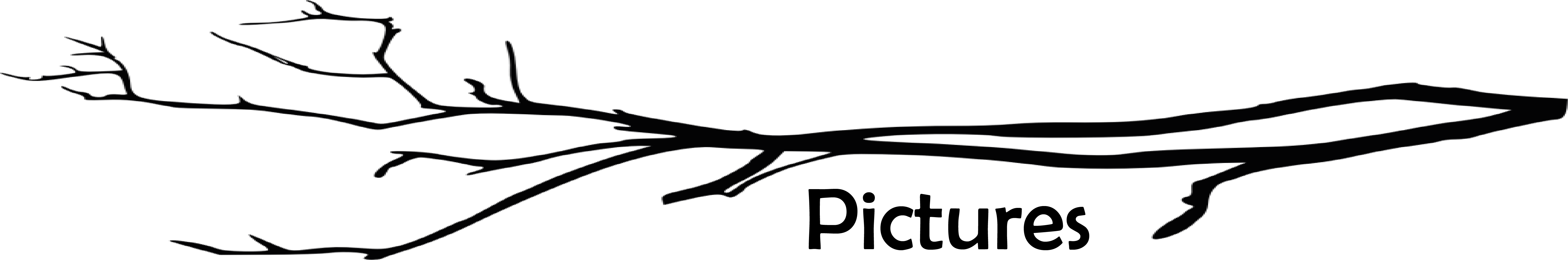 Pictures