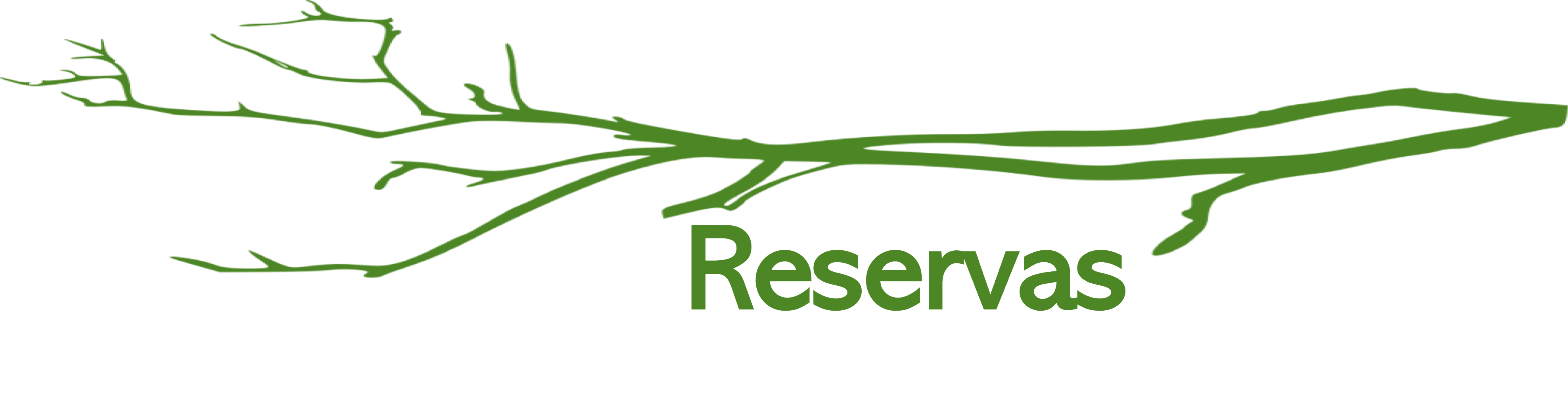 RESERVAS.png