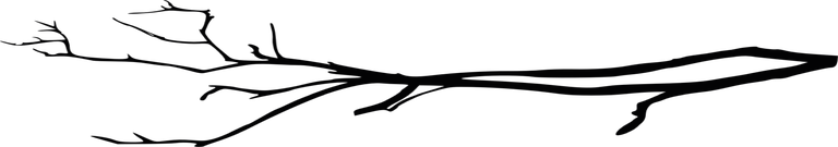 separator