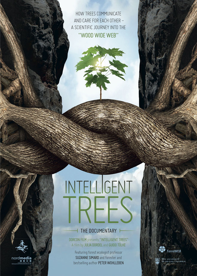 intelligent trees.jpg